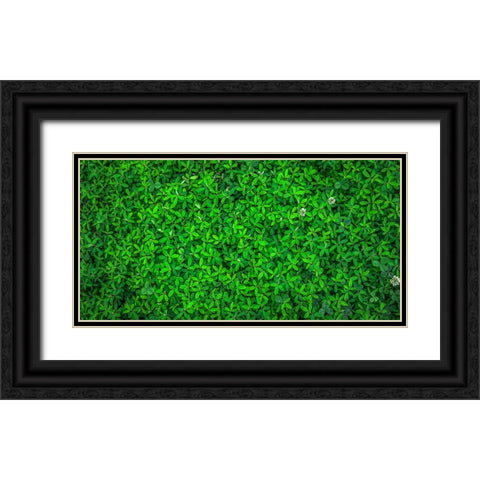 Leaves 10 Black Ornate Wood Framed Art Print with Double Matting by Lee, Rachel
