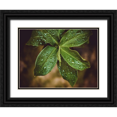 Leaves 12 Black Ornate Wood Framed Art Print with Double Matting by Lee, Rachel