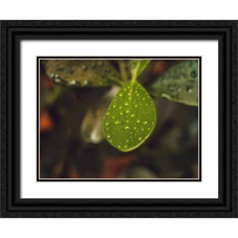 Leaves 13 Black Ornate Wood Framed Art Print with Double Matting by Lee, Rachel