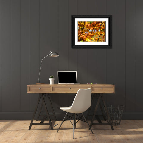 Leaves 15 Black Ornate Wood Framed Art Print with Double Matting by Lee, Rachel