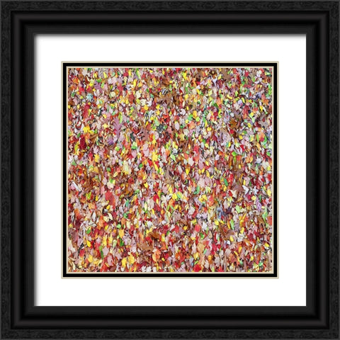 Leaves 17 Black Ornate Wood Framed Art Print with Double Matting by Lee, Rachel