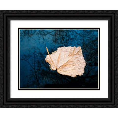 Leaves 3 Black Ornate Wood Framed Art Print with Double Matting by Lee, Rachel
