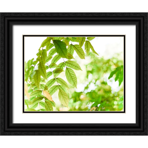 Leaves 4 Black Ornate Wood Framed Art Print with Double Matting by Lee, Rachel