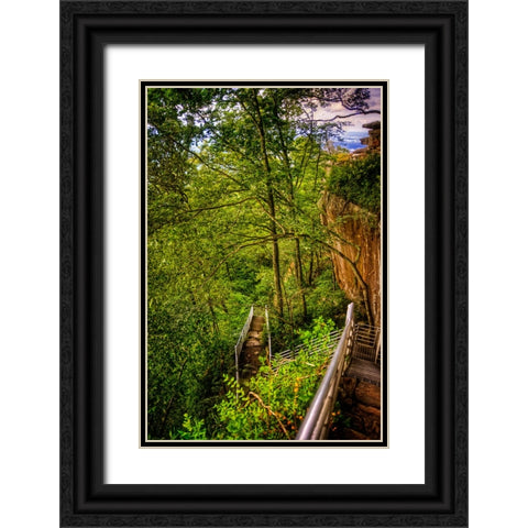 Lookout Trail Stairs Black Ornate Wood Framed Art Print with Double Matting by Lee, Rachel