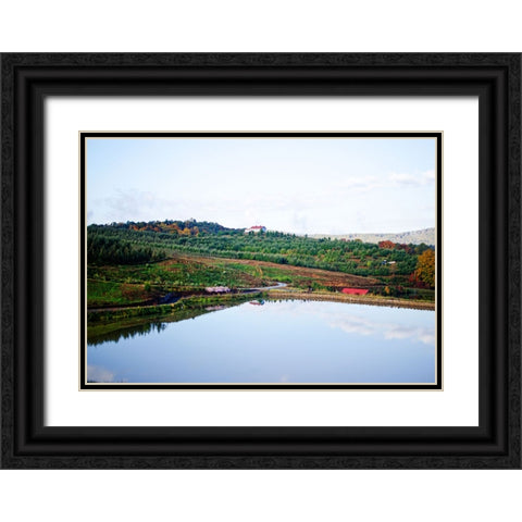 Merciers Orchard Black Ornate Wood Framed Art Print with Double Matting by Lee, Rachel