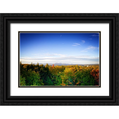 Mountain Lake 2 Black Ornate Wood Framed Art Print with Double Matting by Lee, Rachel
