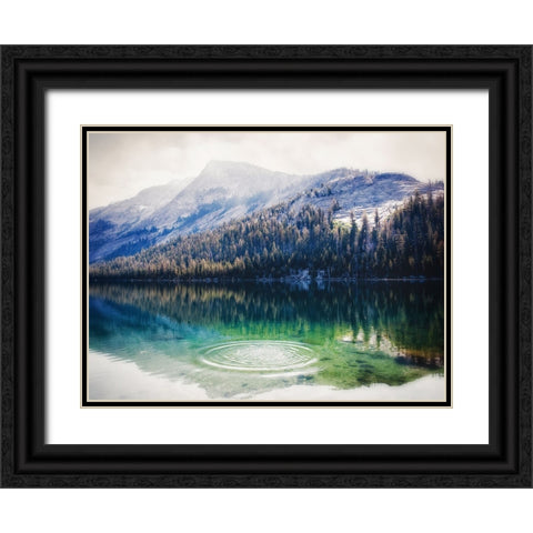 Mountain Lake 28 Black Ornate Wood Framed Art Print with Double Matting by Lee, Rachel