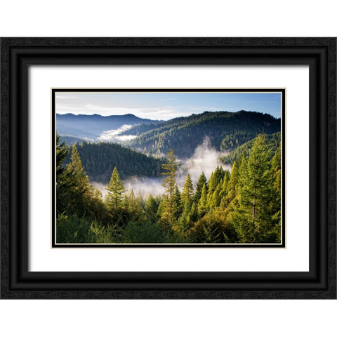 Mountain View 14 Black Ornate Wood Framed Art Print with Double Matting by Lee, Rachel