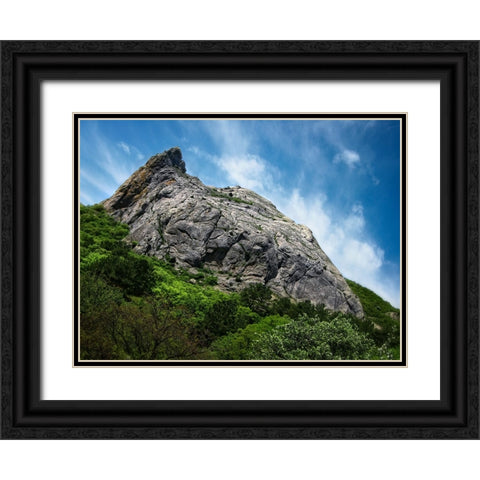 Mountain View 18 Black Ornate Wood Framed Art Print with Double Matting by Lee, Rachel