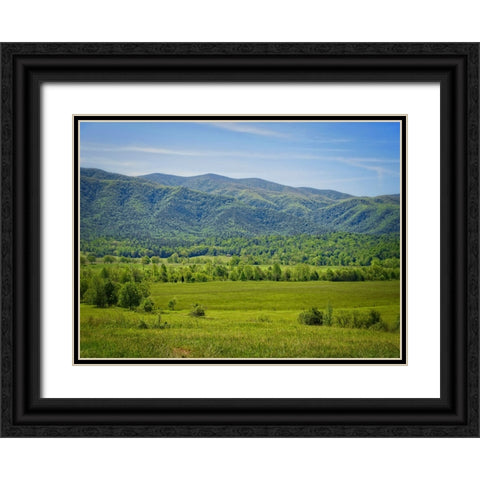 Mountain View 24 Black Ornate Wood Framed Art Print with Double Matting by Lee, Rachel