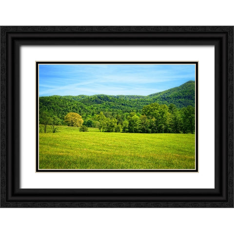 Mountain View 25 Black Ornate Wood Framed Art Print with Double Matting by Lee, Rachel