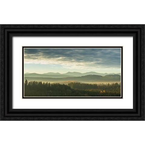 Mountain View 31 Black Ornate Wood Framed Art Print with Double Matting by Lee, Rachel