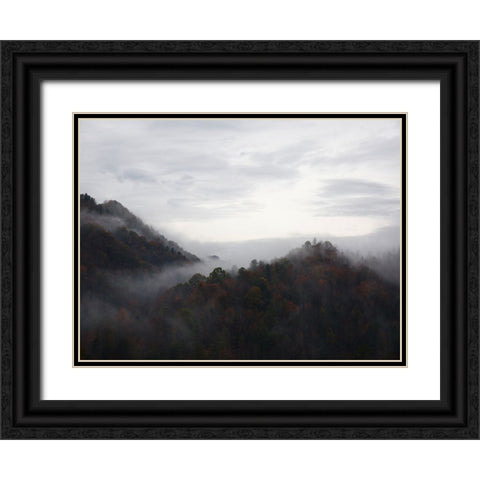 Mountain View 32 Black Ornate Wood Framed Art Print with Double Matting by Lee, Rachel