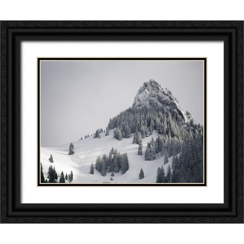 Mountain View 38 Black Ornate Wood Framed Art Print with Double Matting by Lee, Rachel