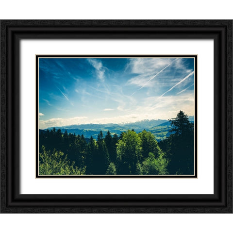 Mountain View 41 Black Ornate Wood Framed Art Print with Double Matting by Lee, Rachel