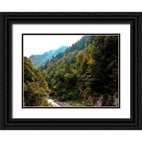 Mountain View 48 Black Ornate Wood Framed Art Print with Double Matting by Lee, Rachel