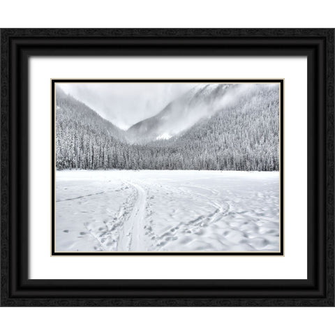 Mountain View 67 Black Ornate Wood Framed Art Print with Double Matting by Lee, Rachel