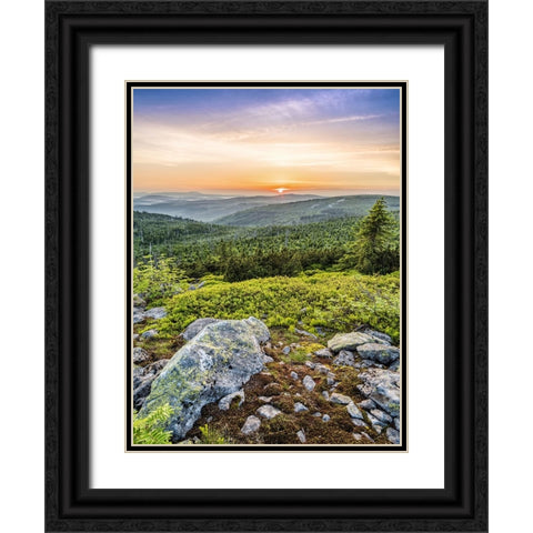 Mountain View 73 Black Ornate Wood Framed Art Print with Double Matting by Lee, Rachel