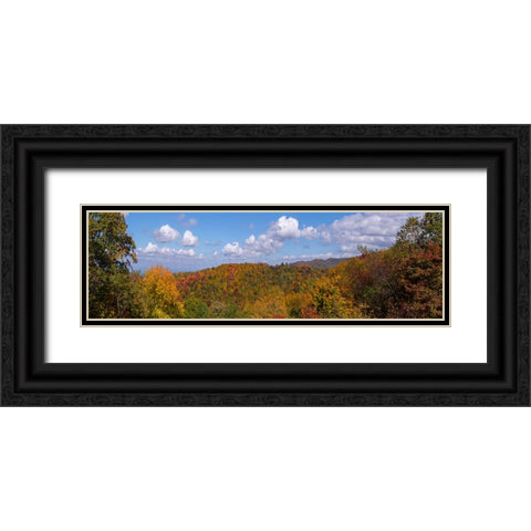 NC Fall Mountains 3 Black Ornate Wood Framed Art Print with Double Matting by Lee, Rachel