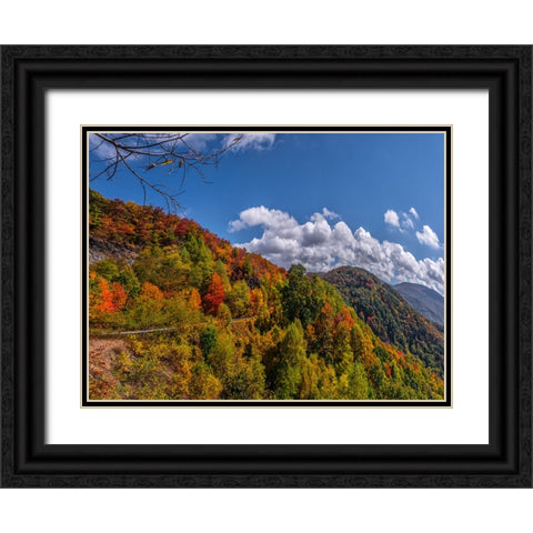 NC Fall Mountains 6 Black Ornate Wood Framed Art Print with Double Matting by Lee, Rachel