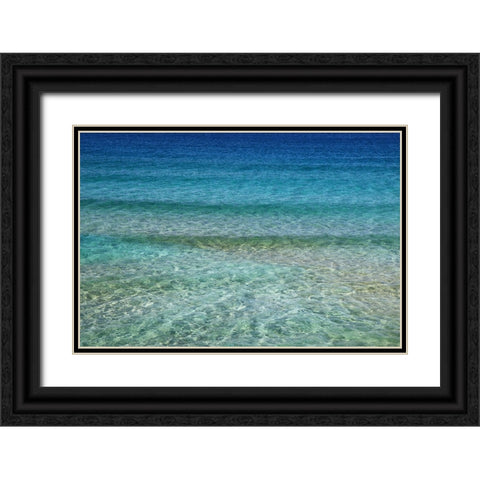 Ocean 1 Black Ornate Wood Framed Art Print with Double Matting by Lee, Rachel