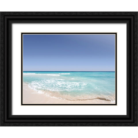 Ocean 12 Black Ornate Wood Framed Art Print with Double Matting by Lee, Rachel