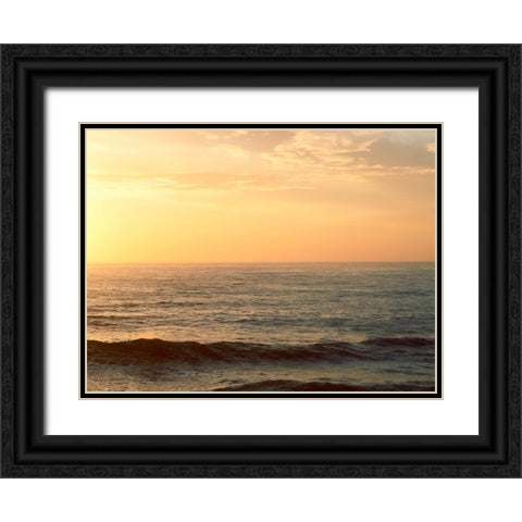 Ocean 14 Black Ornate Wood Framed Art Print with Double Matting by Lee, Rachel
