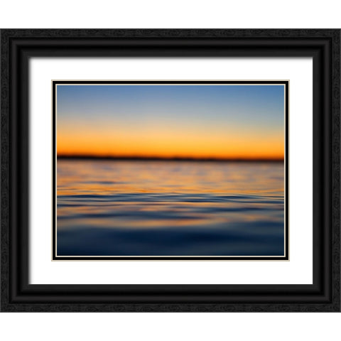 Ocean 18 Black Ornate Wood Framed Art Print with Double Matting by Lee, Rachel