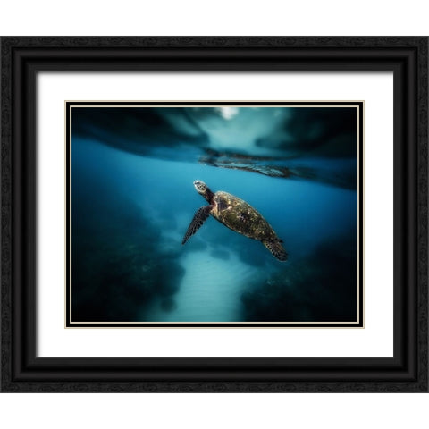 Ocean 42 Black Ornate Wood Framed Art Print with Double Matting by Lee, Rachel