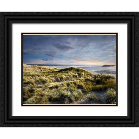Ocean 62 Black Ornate Wood Framed Art Print with Double Matting by Lee, Rachel