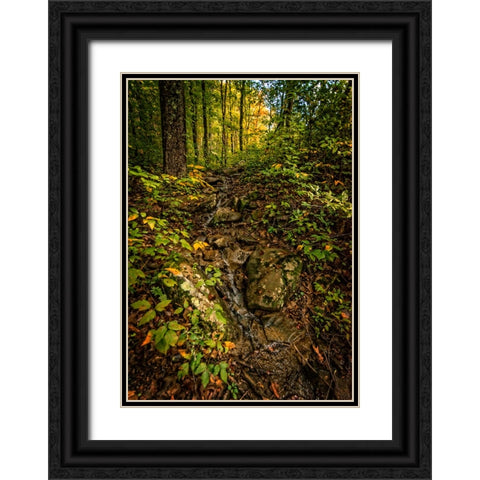 Pocket Wilderness 1 Black Ornate Wood Framed Art Print with Double Matting by Lee, Rachel
