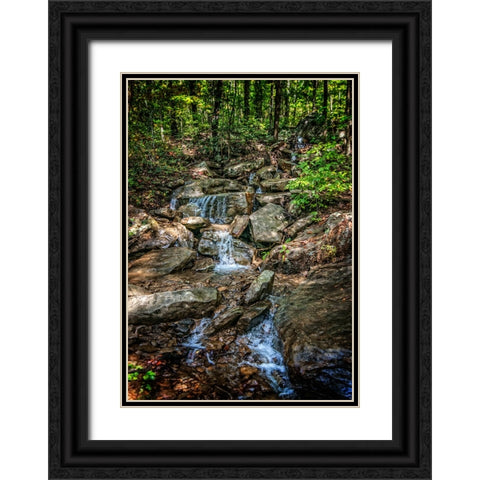 Pocket Wilderness 3 Black Ornate Wood Framed Art Print with Double Matting by Lee, Rachel