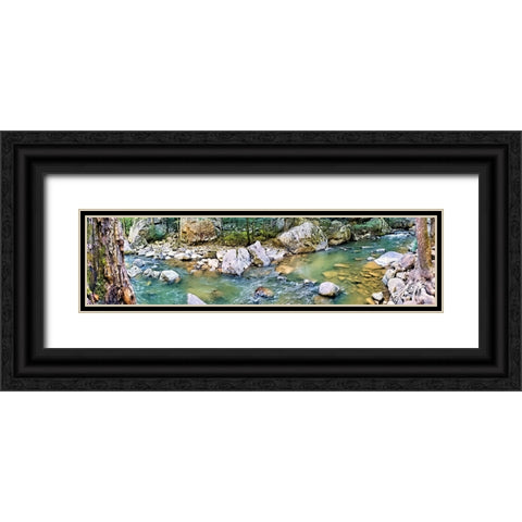 Pocket Wilderness Dayton 2 Black Ornate Wood Framed Art Print with Double Matting by Lee, Rachel