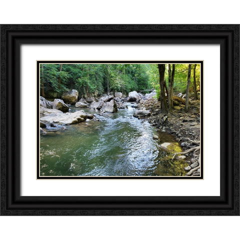 Pocket Wilderness Dayton 4 Black Ornate Wood Framed Art Print with Double Matting by Lee, Rachel