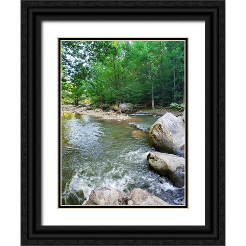 Pocket Wilderness Dayton 5 Black Ornate Wood Framed Art Print with Double Matting by Lee, Rachel