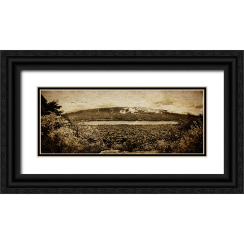 Prentice Overlook Pano Textured Black Ornate Wood Framed Art Print with Double Matting by Lee, Rachel