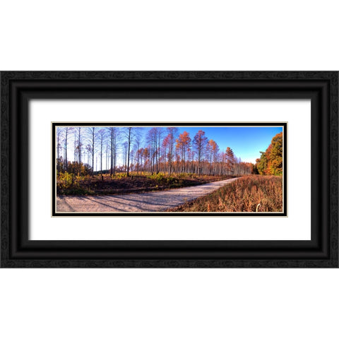 Prentice Road Pano Black Ornate Wood Framed Art Print with Double Matting by Lee, Rachel