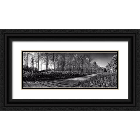 Prentice Road Pano BW Black Ornate Wood Framed Art Print with Double Matting by Lee, Rachel