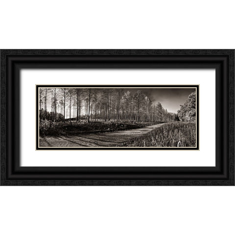 Prentice Road Pano Sepia Black Ornate Wood Framed Art Print with Double Matting by Lee, Rachel