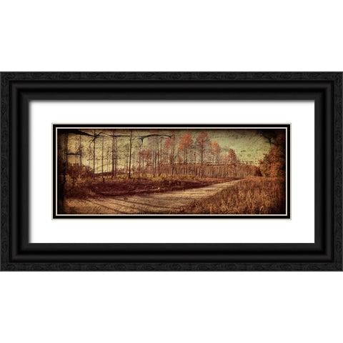 Prentice Road Pano Vintage Black Ornate Wood Framed Art Print with Double Matting by Lee, Rachel