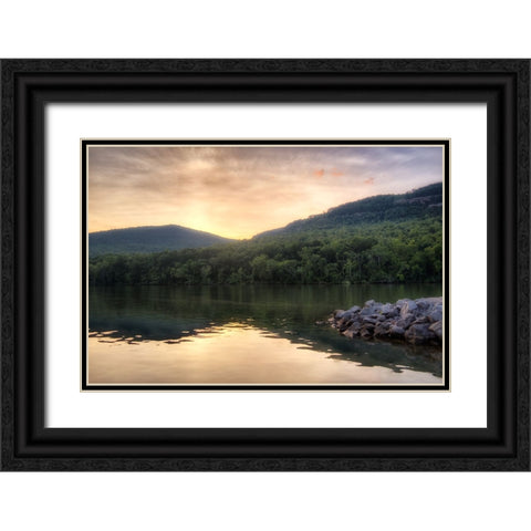 Raccoon Sunset Black Ornate Wood Framed Art Print with Double Matting by Lee, Rachel