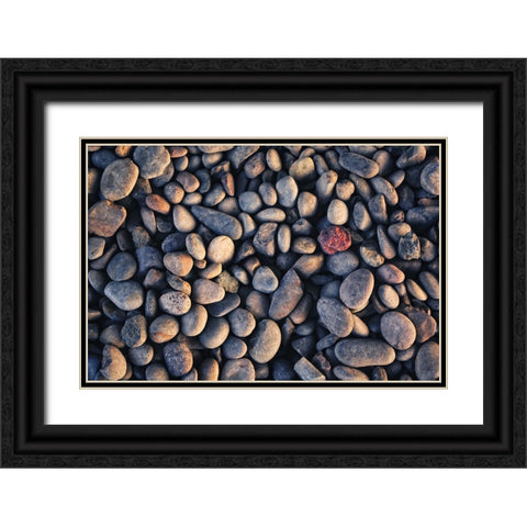 Rocks 3 Black Ornate Wood Framed Art Print with Double Matting by Lee, Rachel