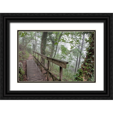 Scenic City 35 Black Ornate Wood Framed Art Print with Double Matting by Lee, Rachel