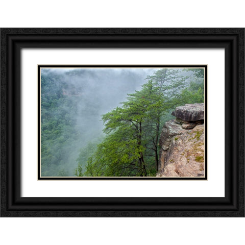 Scenic City 36 Black Ornate Wood Framed Art Print with Double Matting by Lee, Rachel