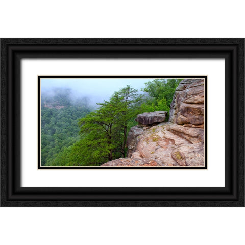 Scenic City 41 Black Ornate Wood Framed Art Print with Double Matting by Lee, Rachel
