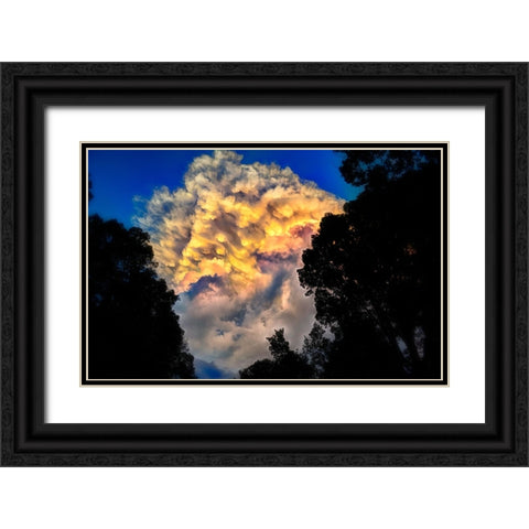 Signal Cloud Black Ornate Wood Framed Art Print with Double Matting by Lee, Rachel