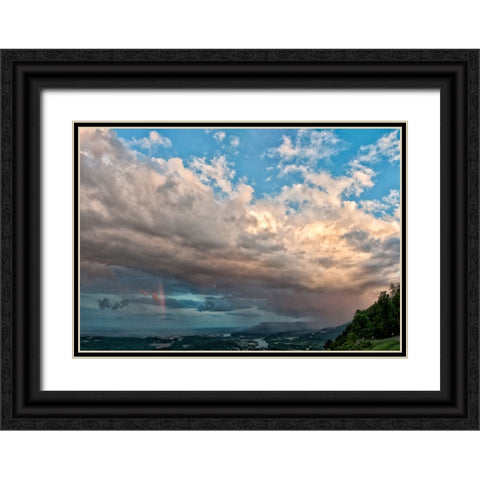 Silver Lining Black Ornate Wood Framed Art Print with Double Matting by Lee, Rachel