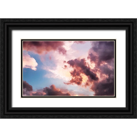 Sky 12 Black Ornate Wood Framed Art Print with Double Matting by Lee, Rachel