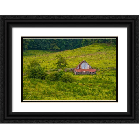 Smokies Barn Black Ornate Wood Framed Art Print with Double Matting by Lee, Rachel