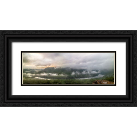 Snooper Fog Black Ornate Wood Framed Art Print with Double Matting by Lee, Rachel